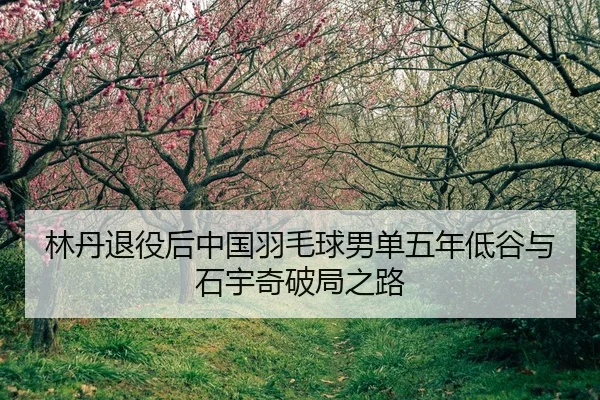 lin-dan-tui-yi-hou-zhong-guo-yu-mao-qiu-nan-dan-wu-nian-di-gu-yu-shi-yu-qi-po-ju-zhi-lu-3-765.jpg